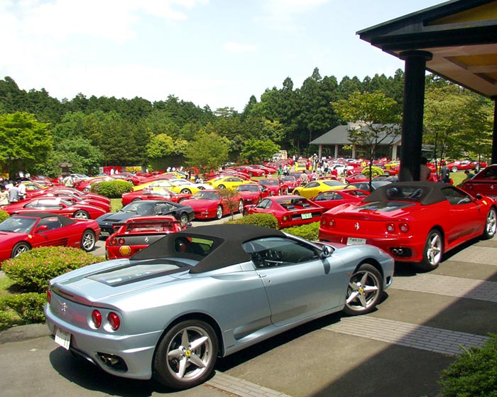 Funny picture of the day